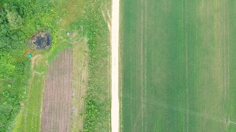Field 3 Video stock 104950778