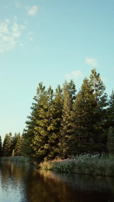 Field-3 Stock Footage 318184233