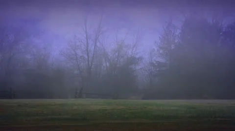 Field 4 Stock Footage 21244840