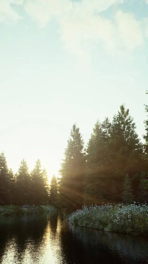 Field-4 Stock Footage 318184229