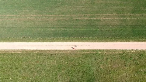 Field 5 Video stock 104950593