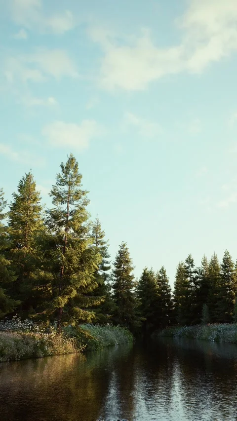 Field-5 Stock Footage 318184231