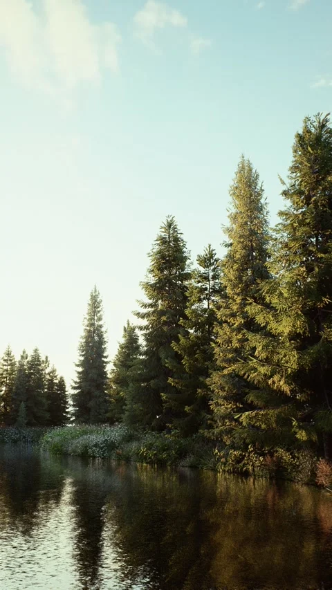 Field-6 Stock Footage 318184240