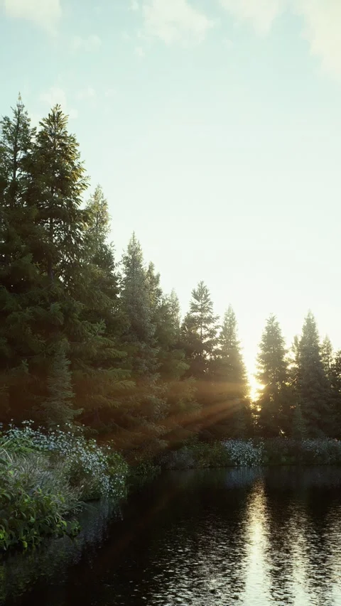 Field-7 Stock Footage 318184239