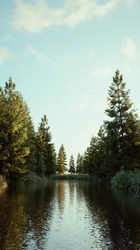 Field-8 Stock Footage 318184241