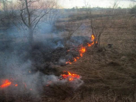 Field Ablaze at Dusk Stock Photos