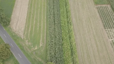 Field from above 스톡 동영상 94367178