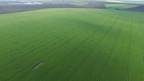 Field from above Stock Footage 137101526