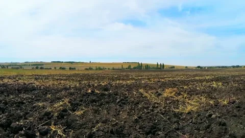 On the Field after harvest Video stock 89301825