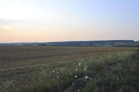 Field after ingathering Stock Photos