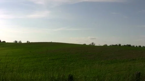 Field Afternoon Stock Footage 207468