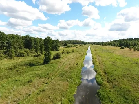 Field along the river and the forest  Stock Footage 70347584