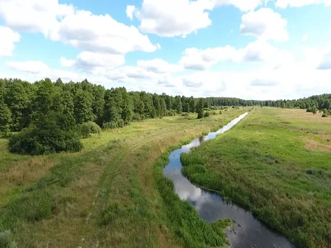 Field along the river and the forest Stock Footage 70348489