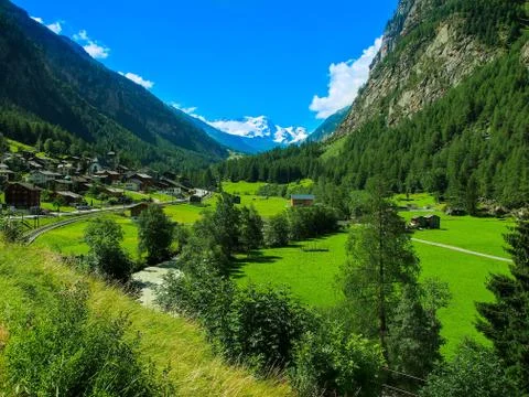 Field in the alps Stock Photos