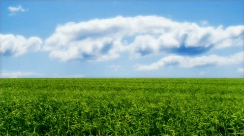 Field and clouds Stock Footage 622828