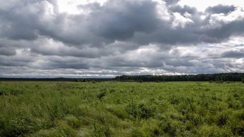 Field and clouds Stock Footage 104344613