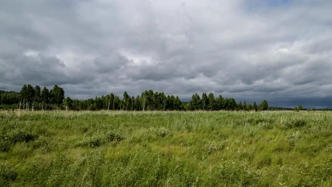 Field and clouds Stock Footage 104344636