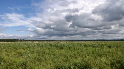 Field and clouds 스톡 동영상 104346598