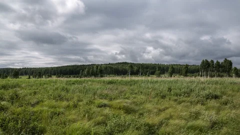 Field and clouds Stock Footage 104347510