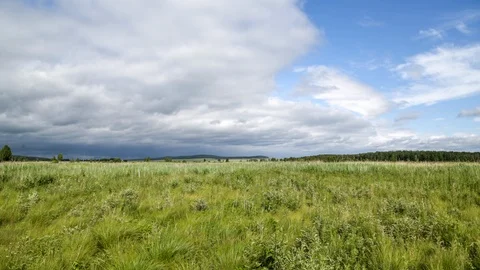 Field and clouds Stock Footage 104352183