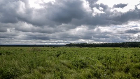 Field and clouds Stock Footage 124143709