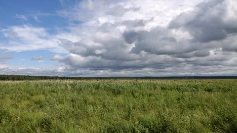 Field and clouds Stock Footage 124144869