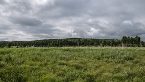 Field and clouds Stock Footage 124145029