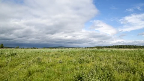 Field and clouds Stock Footage 124146212