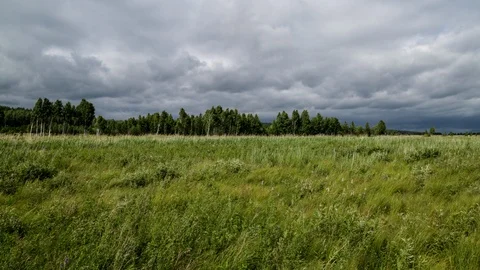 Field and clouds Stock Footage 126667013
