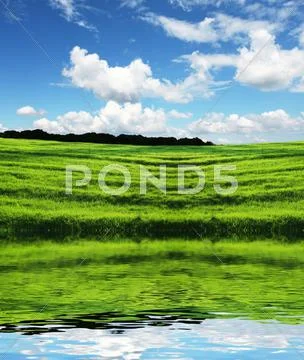 Field and clouds Stock Photos