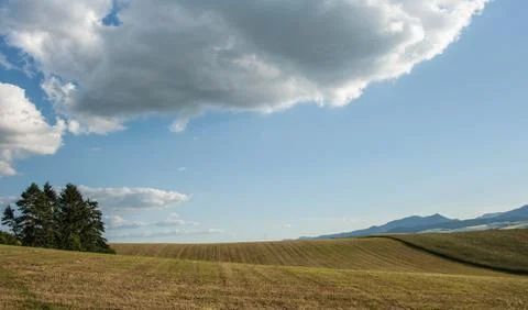 Field and clouds Stock Photos