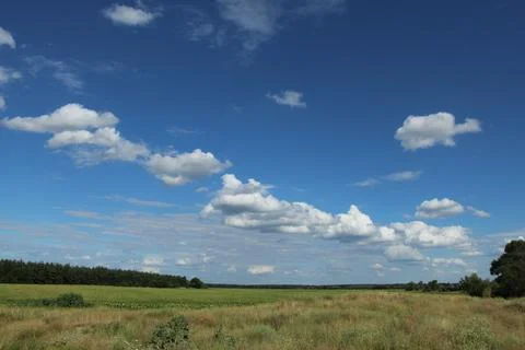 Field and clouds Stock Photos