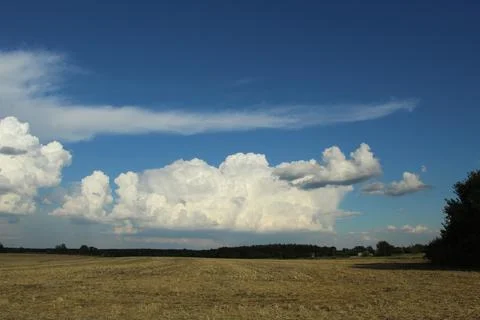 Field and clouds Stock Photos