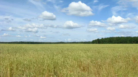 Field and clouds time lapse 2 Stock Footage 517542