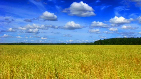 Field and clouds time lapse 2 saturated Stock Footage 517713