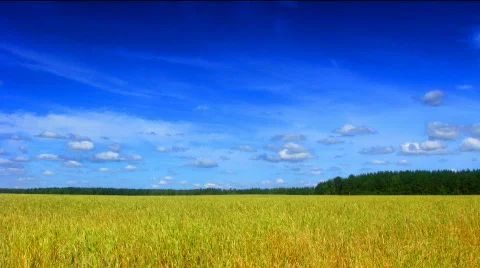 Field and clouds time lapse saturated 스톡 동영상 517923