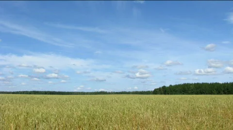 Field and clouds time lapse 스톡 동영상 518318