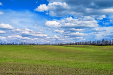 Field and cloudscape Foto stock