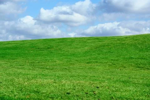 Field and cloudy sky Stock Photos