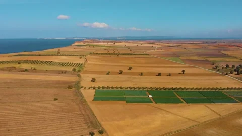 Field and Coast Of Troy Stock Footage 147060872