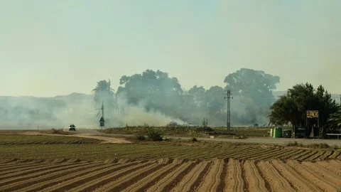 Field and fog Stock Footage 83482998