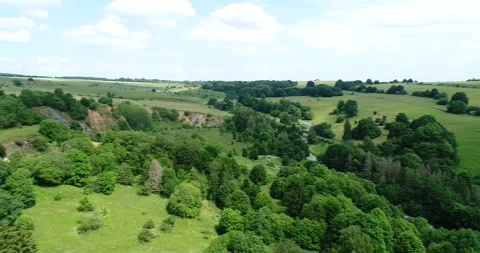 Field and Forest Aerial Stock Footage