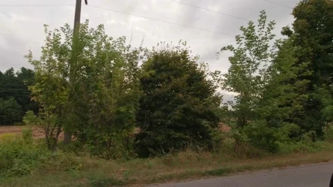 Field And Forest From The Car Stock Footage 161388345