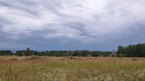 Field and forest. Cloudy sky Stock Photos