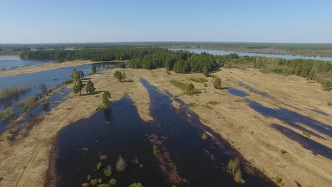 Field and Forest During Flood Stock Footage 108226162