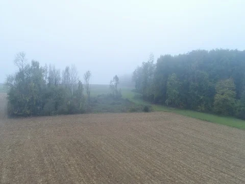 Field and forest, fog Stock Footage 83063885