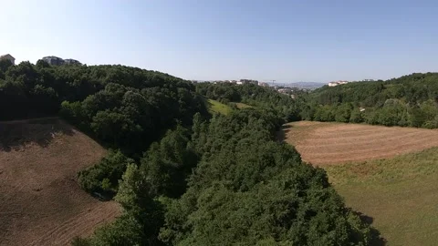 Field and forest Stock Footage 198978431