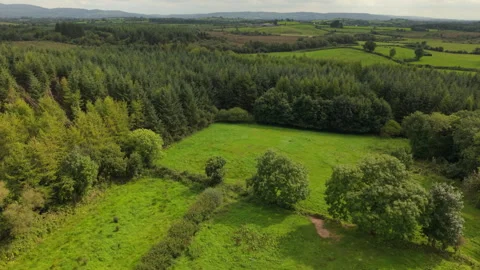 Field And Forest Stock Footage 315464665