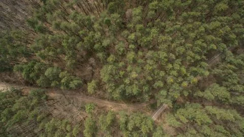 Field and forest with a height.  Stock Photos