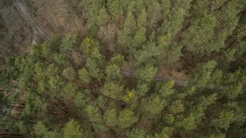 Field and forest with a height.  Stock Photos